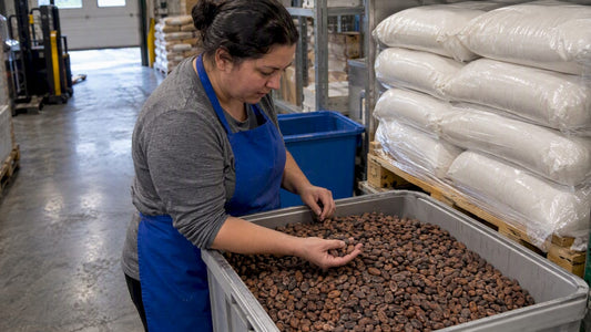 Cocoa beans and sugar sacks at receiving